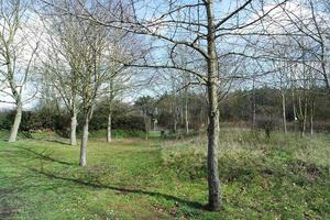 laag hoek visie van lokaal openbaar park en mooi bomen een Doorzichtig en verkoudheid dag van 22 maart 2023 Bij luton stad- van Engeland uk. foto