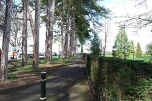 laag hoek visie van boom en takken Bij lokaal park foto