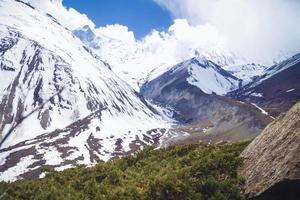 groen in de Himalaya foto