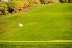 groen golf Cursus foto