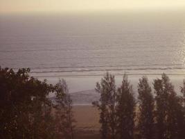 foto van een mooi natuurlijk landschap van hoog groen bomen Aan de zee strand in stuur bazar, bangladesh. reizen en vakantie.