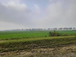 groen agrarisch velden en weiden, zomer platteland met, landelijk landschap, agrarisch land- met gewassen en landt in gemakkelijk kleuren met blauw lucht foto