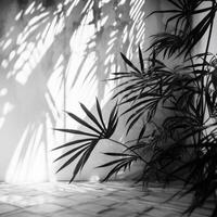 palm bladeren schaduw. illustratie ai generatief foto