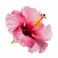 hibiscus bloem geïsoleerd. illustratie ai generatief foto