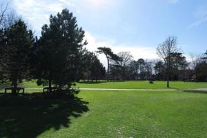 laag hoek visie van lokaal openbaar park en mooi bomen een Doorzichtig en verkoudheid dag van 22 maart 2023 Bij luton stad- van Engeland uk. foto