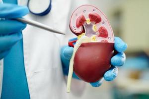 chronisch nier ziekte, dokter Holding model- voor behandeling urine- systeem, urologie, geschatte glomerulair filtratie tarief egr. foto