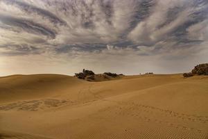 zomer woestijn landschap Aan een warm zonnig dag van maspalomen duinen Aan de Spaans eiland van oma canaria foto