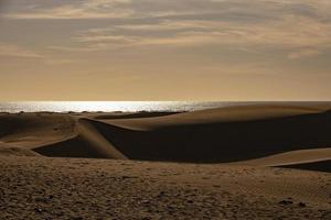 zomer woestijn landschap Aan een warm zonnig dag van maspalomen duinen Aan de Spaans eiland van oma canaria foto