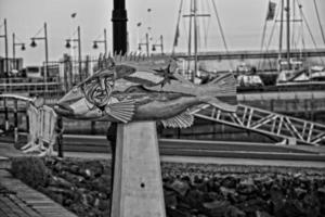 kleurrijk pret vis monumenten in de haven van corralejo, Spanje foto