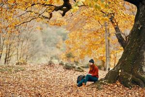 reizen toerisme vrouw model- in herfst Woud vallend bladeren landschap natuur park foto