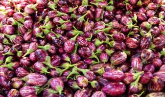 stapel van vers biologisch aubergine in de markt, rauw foto