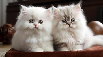 portret van twee katten ai gegenereerd foto