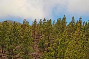 kalmte berg landschap in de omgeving van teide Aan de Spaans kanarie eiland Tenerife foto