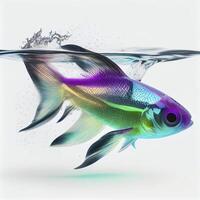 een ultra realistisch neon tetra vis dat springt door spatten Aan een wit achtergrond ai gegenereerd foto