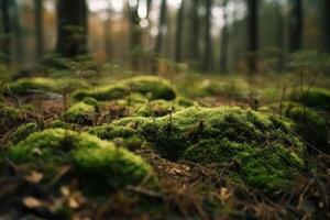 dichtbij omhoog visie Aan een Woud grond met een veel van mos en weinig takken gemaakt met generatief ai technologie. foto