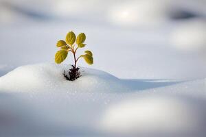een klein zaailing breken door de sneeuw in zoeken van zon en groei. generatief ai. digitaal kunst illustratie foto