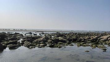 de natuurlijk schoonheid van Bangladesh stuurman bazaar foto