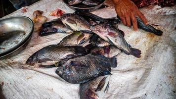 tilapia vis verkocht in traditioneel markten foto