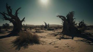 dood bomen in de namib woestijn, Namibië, Afrika foto