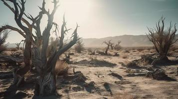 dood bomen in de namib woestijn, Namibië, Afrika foto