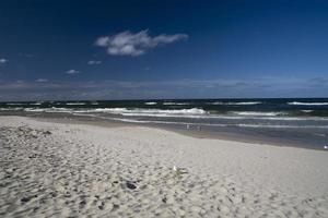 kalmte zee landschap Aan de strand van de Baltisch zee in Polen met meeuwen Aan een zonnig dag foto