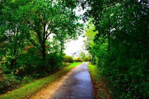 fiets weg in herfst foto