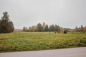 kalmte herfst landschap met weg en bomen Aan een grijs bewolkt dag in van Warschau wijk in Polen foto