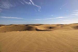 zomer woestijn landschap Aan een warm zonnig dag van maspalomen duinen Aan de Spaans eiland van oma canaria foto