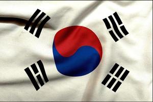 zuiden Koreaans vlag Aan kleding met structuur hedendaags ontwerp met stoutmoedig elementen foto