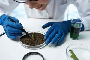 vrouw laboratorium assistent biologie Onderzoek planten biologie foto