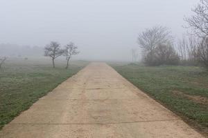 l kalmte landschap met weg in nevelig grijs winters dag foto