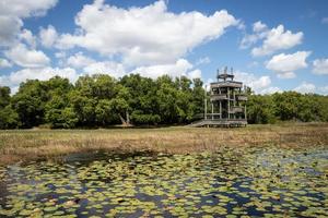 observatie toren in een moeras foto