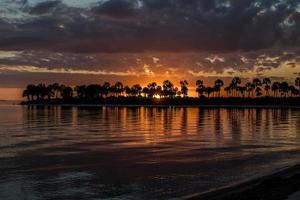 visie van zonsondergang over- palm bomen en water Bij Fred Howard park, tarpon veren Bij zonsondergang foto