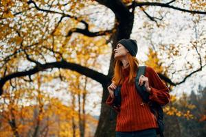 mooi vrouw in een rood trui met een rugzak Aan haar terug in de buurt een hoog boom in herfst gedaald bladeren foto