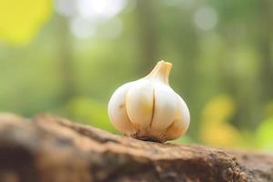 dichtbij omhoog van knoflook Aan natuur achtergrond met kopiëren ruimte. gezond veganistisch vegetarisch voedsel concept foto