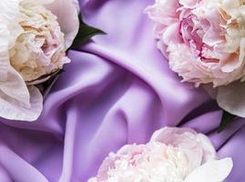 peony bloemen op een violette zijden achtergrond foto