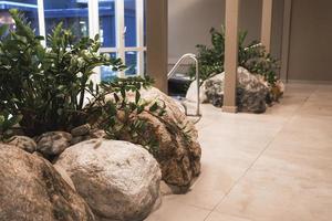 planten groeit temidden van stenen Bij zwembad in hotel foto