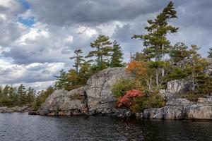 kleurrijk bladeren Bij beausoleil eiland, ontario, Canada foto