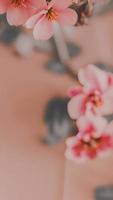 esthetisch detailopname roze bloemen en bladeren. pastel retro kleuren foto