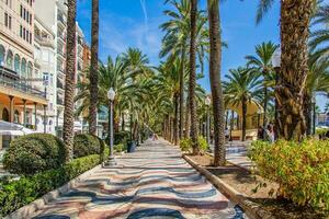 zomer landschap met paseo de la uitleg Alicante in Spanje foto