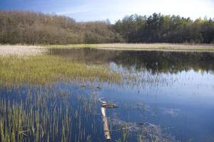 voorjaar landschap met water en bomen Aan een warm zonnig dag foto