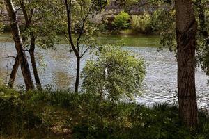 landschap van een rivier- vloeiende achter groen voorjaar bomen foto