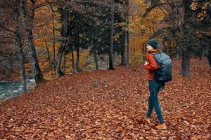 vrouw met rugzak wandelen reizen in herfst park hoog bomen rivier- gedaald bladeren foto