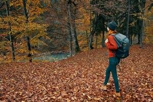 vrouw wandelaar wandelen in de herfst Woud reizen vers lucht foto