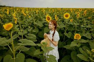 mooi zoet meisje op zoek in de zonnebloem veld- ongewijzigd foto