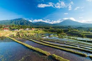 rijstvelden van jatiluwih in zuidoost-bali foto