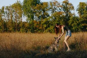 een vrouw Toneelstukken en dansen met een schor ras hond in natuur in herfst Aan een gras veld, opleiding en opleiding een jong hond foto