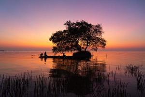 tafereel van lang staart boot en mangrove boom. foto