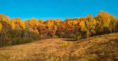 verbazingwekkend natuur behang foto