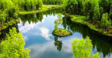 verbazingwekkend natuur behang foto